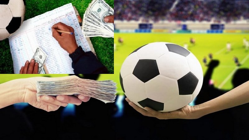 Cò bóng đá có nhiệm vụ gắn kết nhà cái và người chơi cá độ dafabet